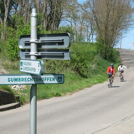 Gites Du Tilleul Gumbrechtshoffen Exterior photo
